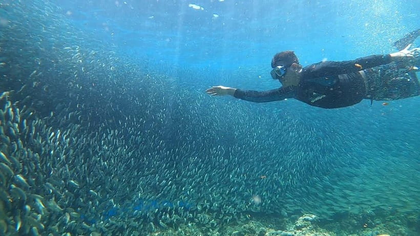 Cebu: Sardine Run Snorkeling, Mantayupan Falls & ATV Thrills - Snorkeling gear and what to check