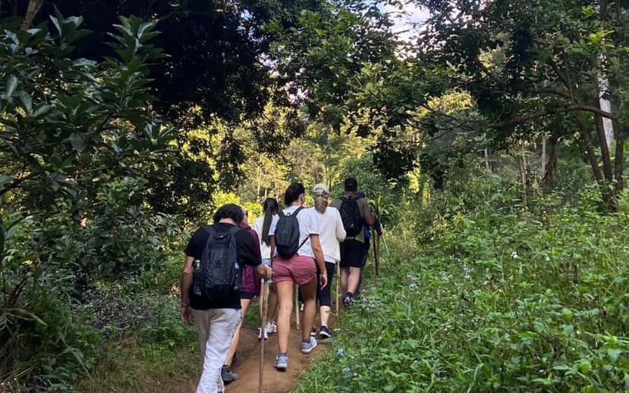 Chiang Mai: ATV Adventure, Jungle Hike & White Water Rafting - What to pack for a wet, active day