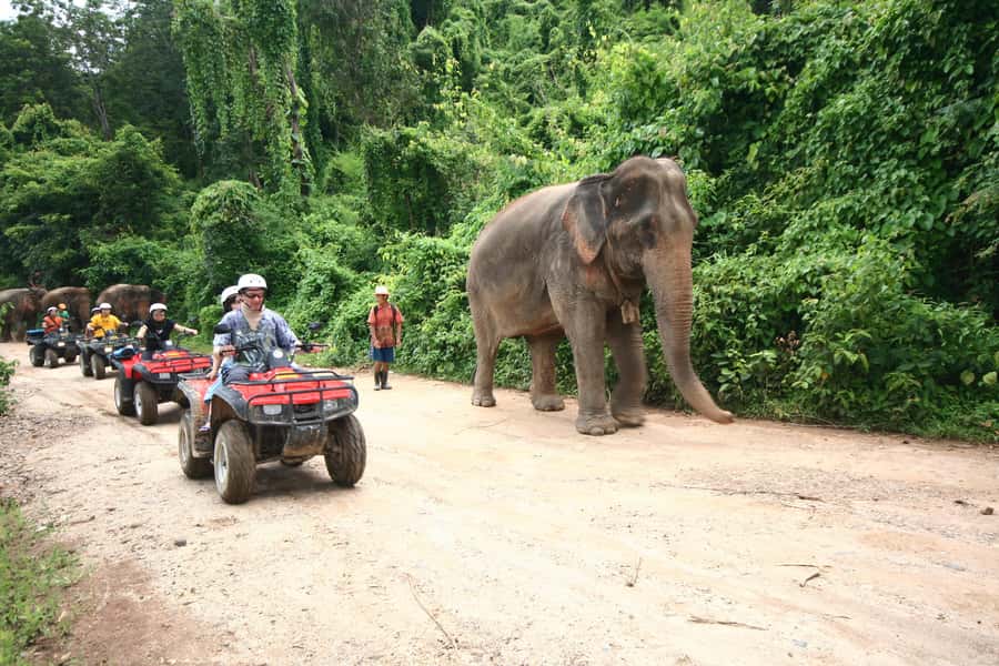 Chiang Mai : ATV Tour - Key points to know