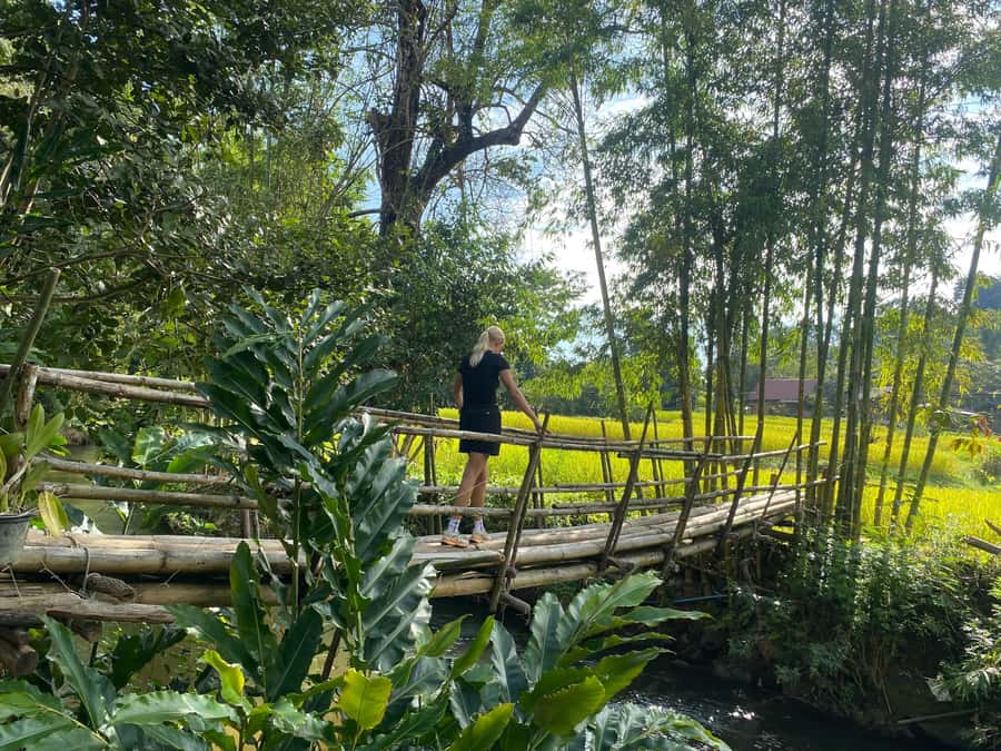 Chiang Mai: Doi Inthanon Explore & ATV Adventure - Pa Pong Piang rice terraces