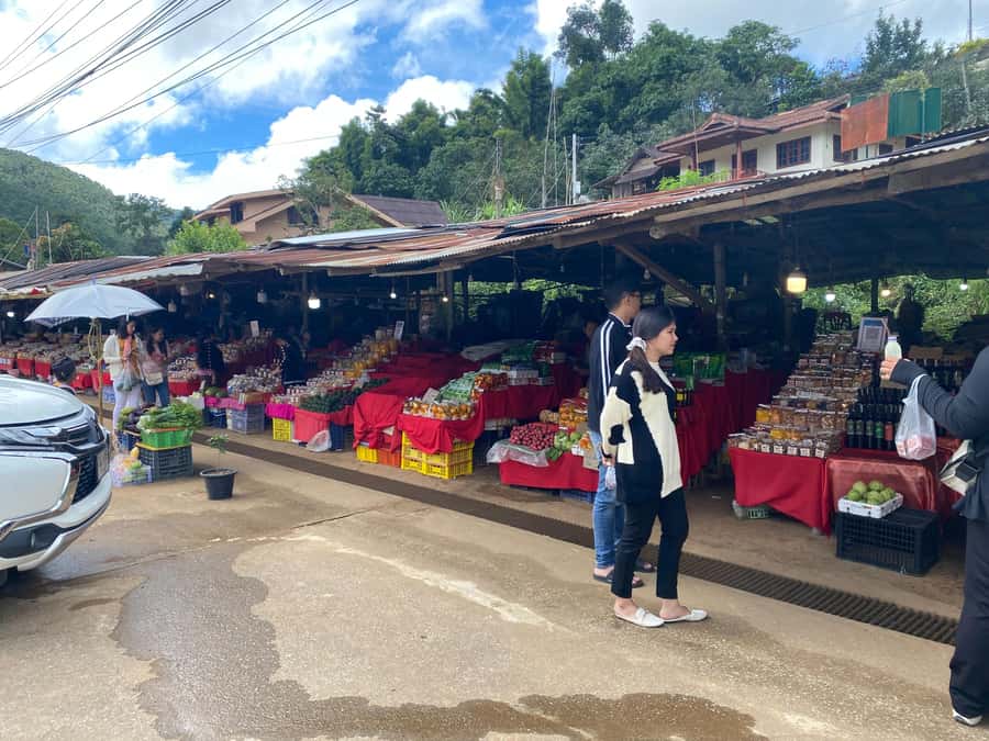 Chiang Mai: Doi Inthanon Explore & ATV Adventure - Wachirathan Waterfall and local market time