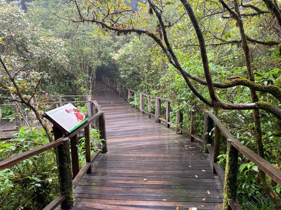 Chiang Mai: Doi Inthanon Explore & ATV Adventure - What the $93 price really covers