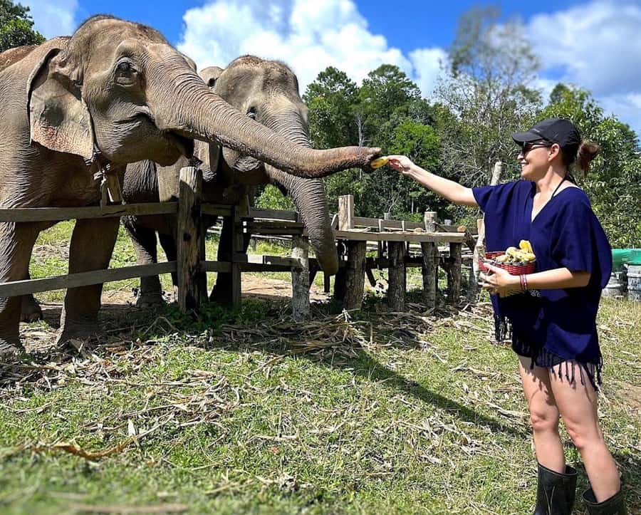 Chiang Mai : Ethical Elephant Sanctuary and ATV Adventure - Lunch brings the morning to a close