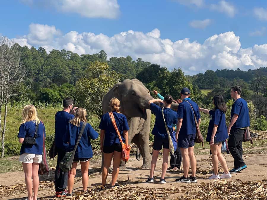 Chiang Mai : Ethical Elephant Sanctuary and ATV Adventure - Riding ATVs through Chiang Mai’s wooded hills
