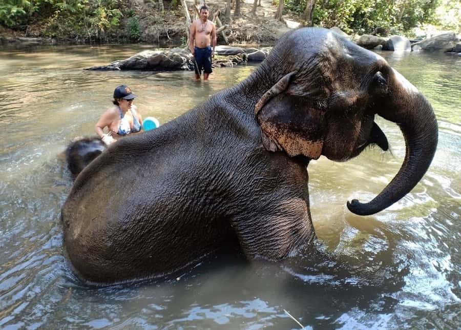 Chiang Mai : Ethical Elephant Sanctuary and ATV Adventure - How the two activities compare