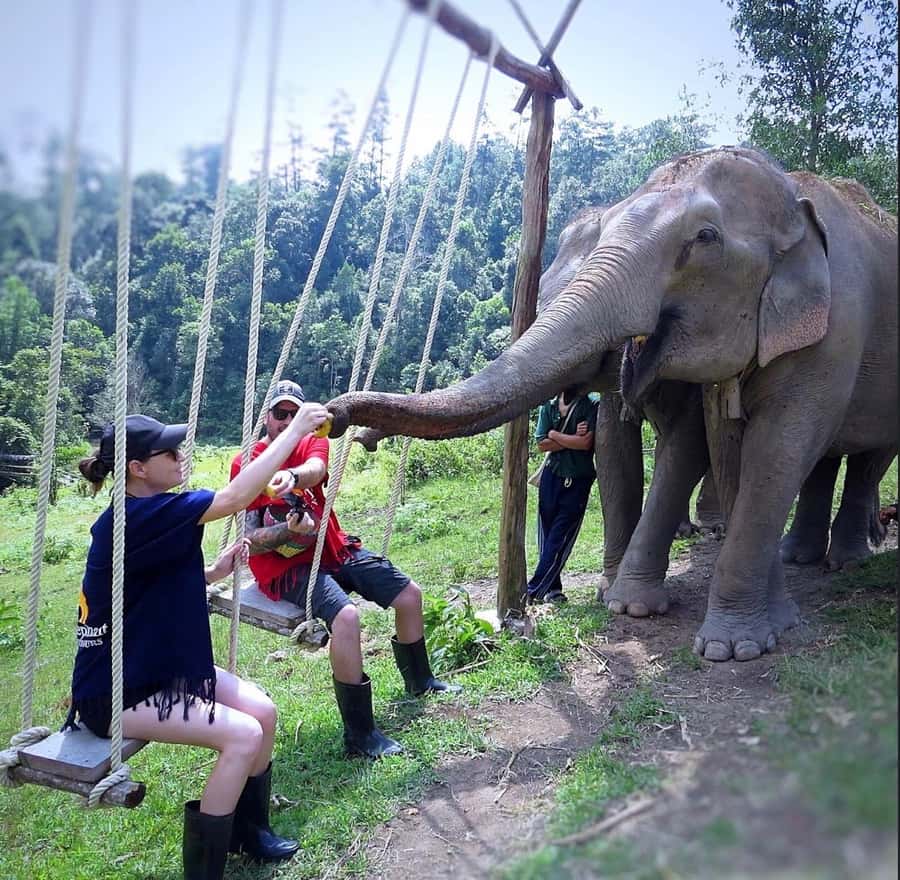 Chiang Mai : Ethical Elephant Sanctuary and ATV Adventure - Is $93 good value?
