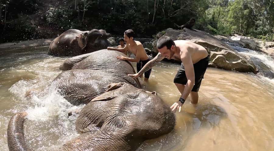 Chiang Mai : Ethical Elephant Sanctuary and ATV Adventure - The river visit depends on the elephants
