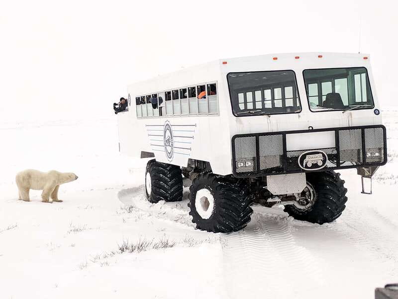 Churchill: Exclusive Tundra Buggy Day Trip - Key points to know before booking
