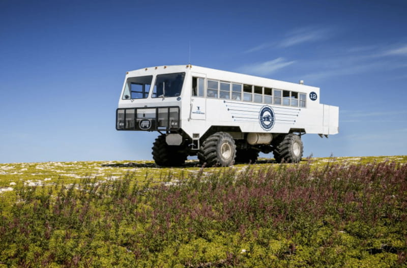 Churchill: Exclusive Tundra Buggy Day Trip - Is the access worth the value?