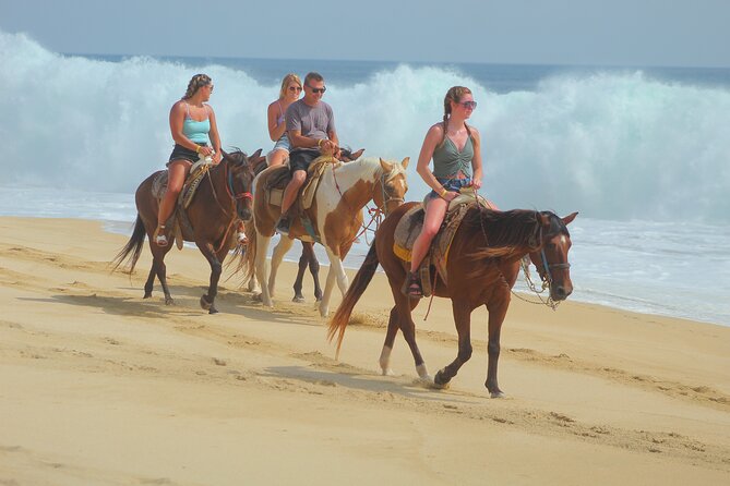 Combined ATV and Horseback Ride/Tequila Tasting - Safety, damage charges, and practical clothing