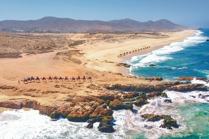 Combo 4x4 Automatic ATV and Camel Ride Tour in Cabo San Lucas - Migriño Beach and the Pacific setting