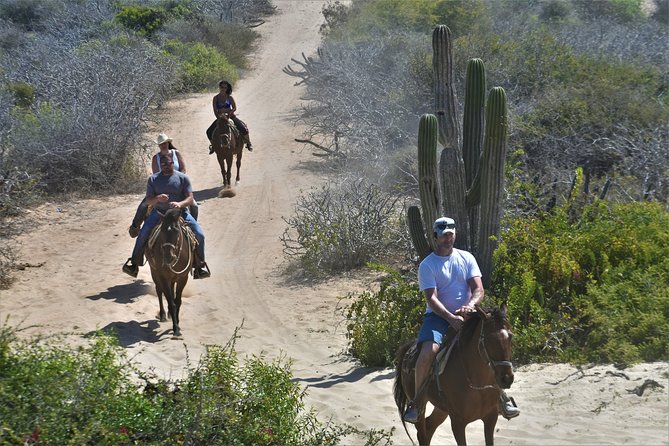 Combo Double Utv + Horses - Guides who shape the experience