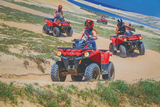Combo Horseback Beach Ride & ATV Adventure. Tequila Tasting - Two Cabo adventures in one afternoon