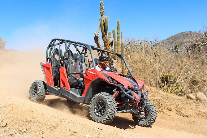 COMBO Horseback Riding & UTV Tour - Two Cabo activities, one compact outing