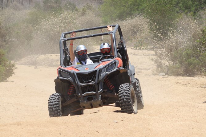 COMBO Horseback Riding & UTV Tour - Price, fees, and the real value