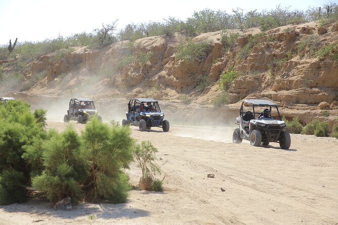 Combo Single Offroad 4x4 UTV, Camel Ride, Lunch & Tequila Tasting - From Cabo to Tierra Sagrada