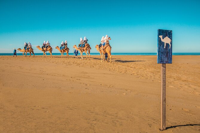 Combo Single Offroad 4x4 UTV, Camel Ride, Lunch & Tequila Tasting - Who will enjoy this most?