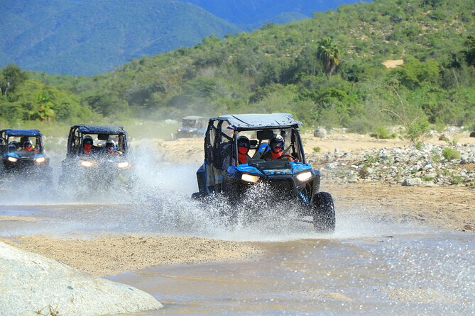 Combo Single Offroad 4x4 UTV, Camel Ride, Lunch & Tequila Tasting - Trading dust for a camel ride