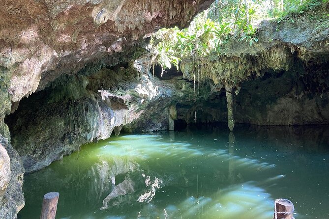 Cozumel ATVs, El Cedral Ruins, Cenote Jade, and Tequila - Is the $39 price a good value?