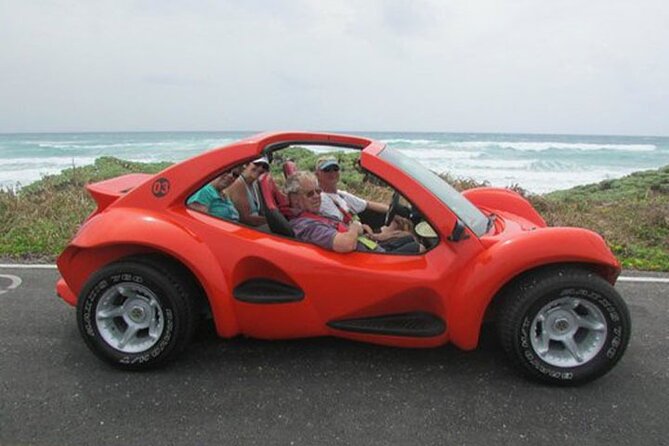 Cozumel Buggy Island Tour, Otoch Mayan Experience & Clear Boat - What Otoch really offers
