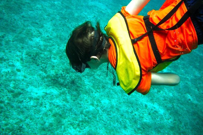 Cozumel Buggy Tour: Snorkeling , Otoch Mayan Experience & Lunch - What the best guide can change