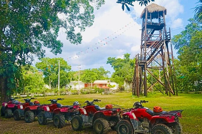 Cozumel Jungle ATV Adventure and Unlimited Beach Break - Pickup, timing, and cruise-day planning
