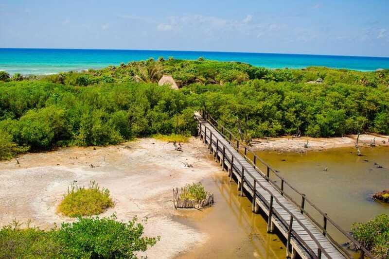 Cozumel: Private Buggy Tour to Punta Sur Park All Inclusive - Lunch and water time at Coco’s Beach Club