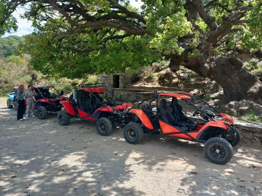 Crete buggy safari - Mountain tracks, gorges, and wild goats
