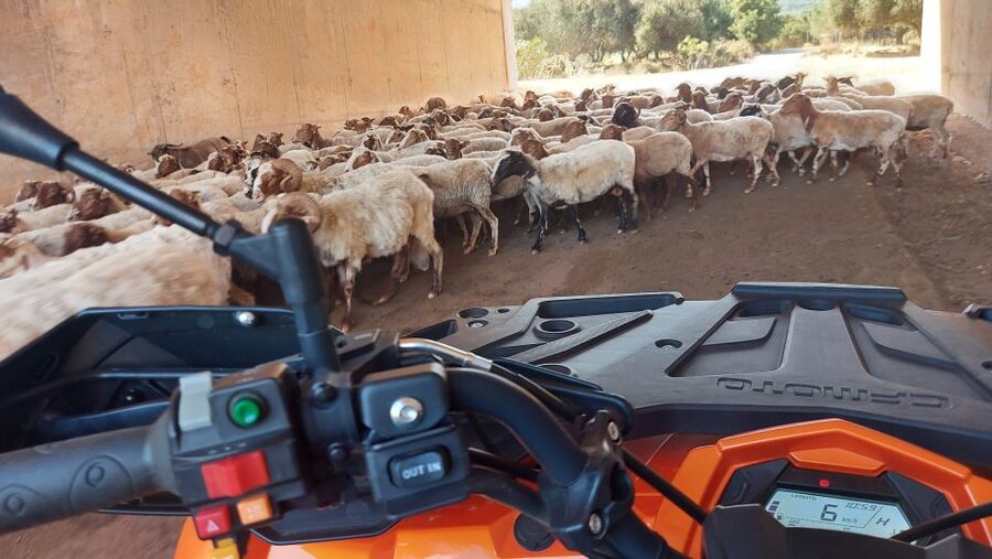 Crete: Off-Road Quad Safari with Lunch/Dinner - Riding toward Milatos village
