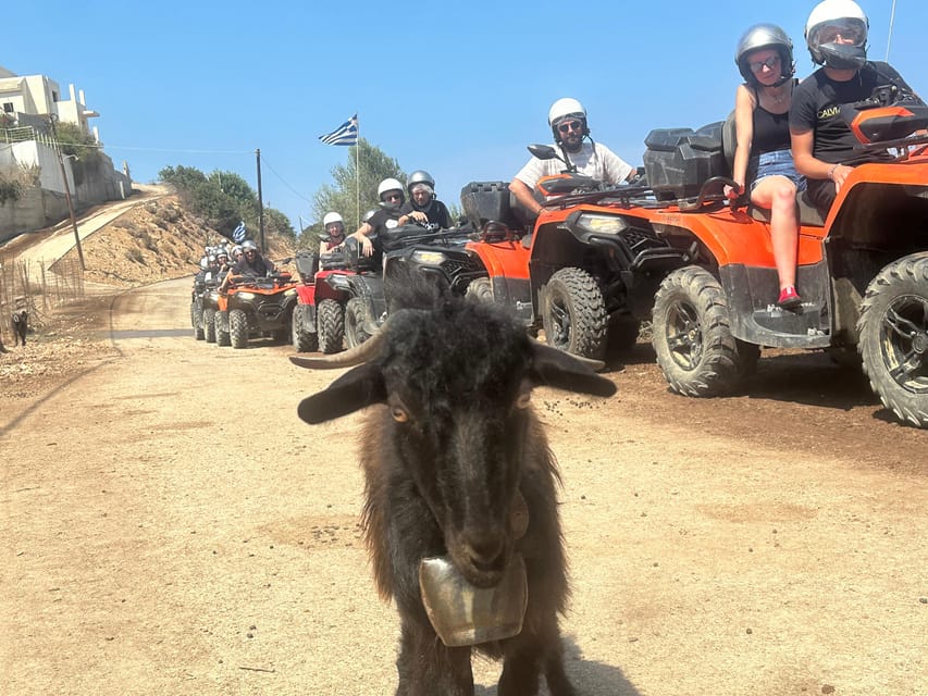 Crete: Quad Safari, Olive Mill with Tasting & Ghost Village - Learning how Cretan olive oil is made