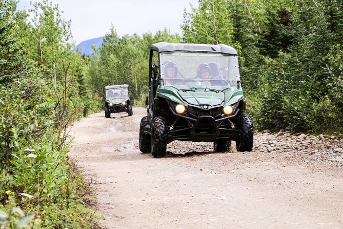 Denali ATV Trailblazer 3.5 Hour Tour - Riding the Denali backcountry instead of watching it