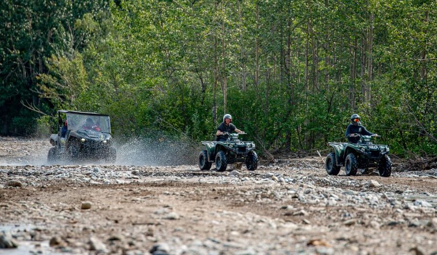 Denali National Park: Wilderness ATV Adventure - Wildlife, history, and the guide’s role
