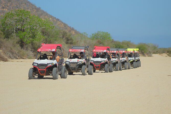 Desert and Beach UTV Adventure with Tequila Tasting - Key points before you book