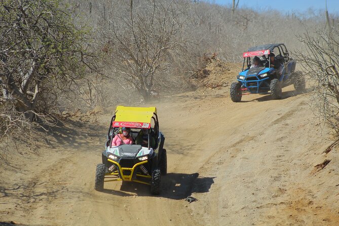 Desert and Beach UTV Adventure with Tequila Tasting - Reaching Migrino Beach