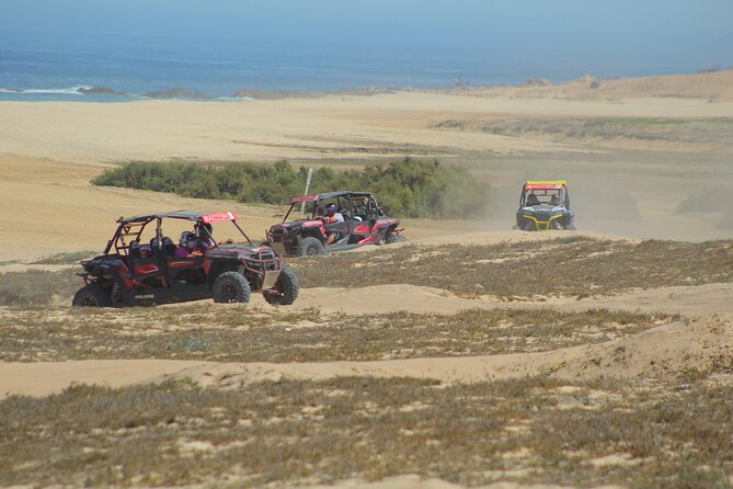Desert and Beach UTV Adventure with Tequila Tasting - Who will enjoy this most?