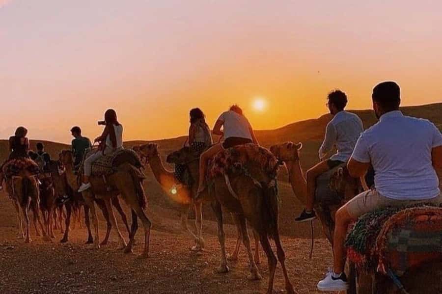 Desert & Beach Quad Adventure With Camel Ride - Key points at a glance