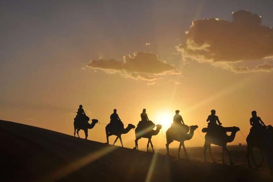 Desert & Beach Quad Adventure With Camel Ride - A sensible safety check for first-time riders