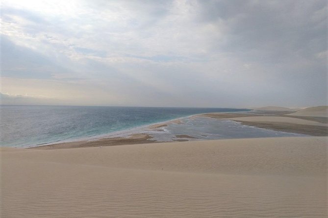 Desert Combo safari, Camel ride, Quad Bike and Dune Bashing(ALL INCLUSIVE) - What the $100 price includes