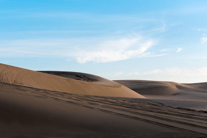 Desert Combo safari, Camel ride, Quad Bike and Dune Bashing(ALL INCLUSIVE) - Pickup, airport connections, and timing