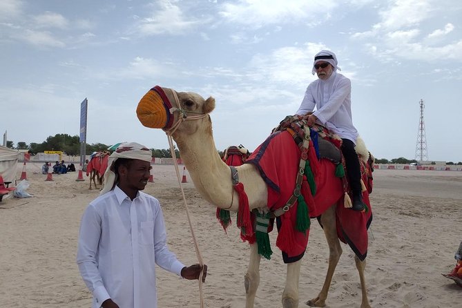Desert Combo safari, Camel ride, Quad Bike and Dune Bashing(ALL INCLUSIVE) - Who will enjoy this desert safari most