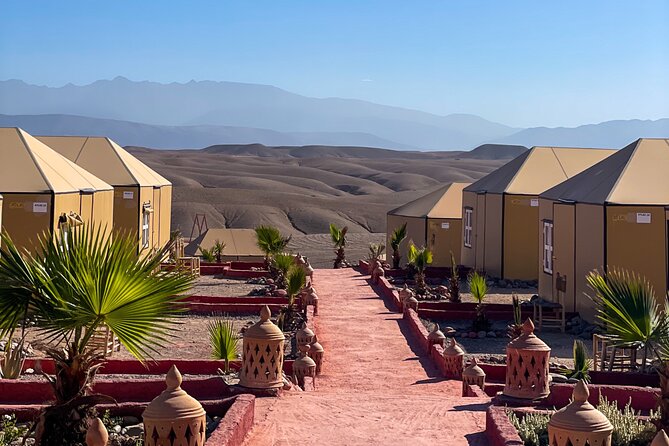 Desert Full Day: Quad, Camel, Dinner & Show or Pool Day and Lunch - Choose the right schedule before you leave Marrakech