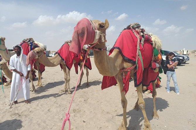 Desert safari, Dune bashing, sandboarding, camel, ATV Option - Khor Al Adaid and the Inland Sea