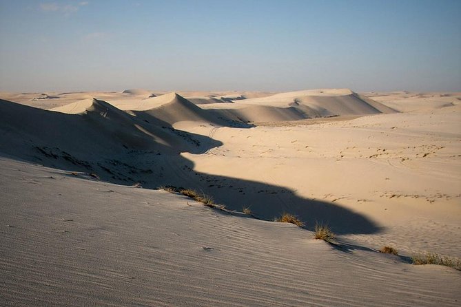 Desert safari, Dune bashing, sandboarding, camel, ATV Option - What the Guides Add to the Day
