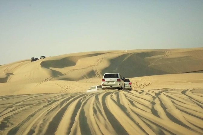 Desert safari, Dune bashing, sandboarding, camel, ATV Option - Timing, Comfort, and Who Should Book