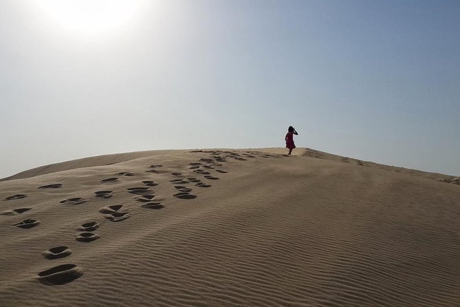 Desert safari, Dune bashing, sandboarding, camel, ATV Option - Is $46.55 Good Value?