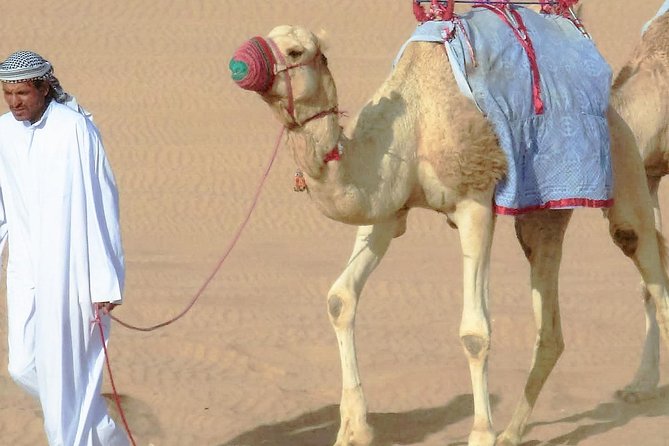 Desert safari, Dune bashing, sandboarding, camel, ATV Option - Dune Bashing Is the Main Event