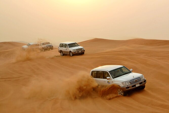 Desert Safari Experience with Dune Bashing and Dinner in Dubai - A camel farm and the desert’s working animals