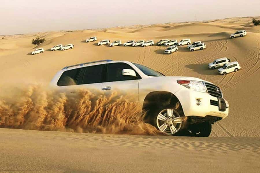 Desert Safari, Quad Bike, Camel Ride, Falcon & Sandboarding - Key points before you book