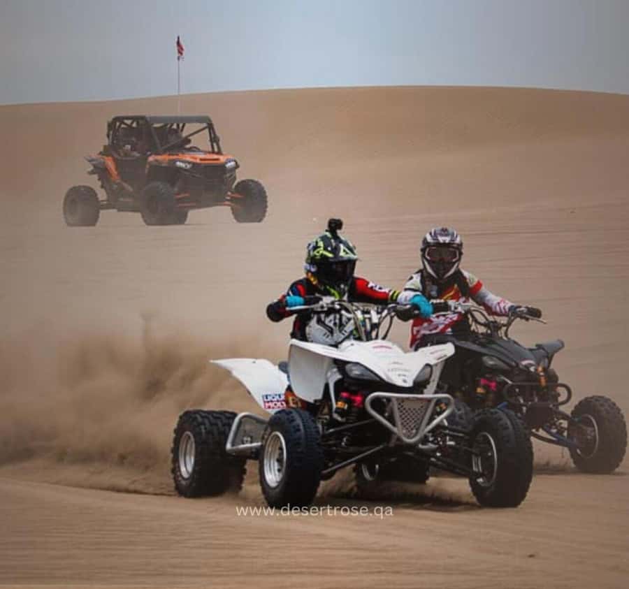 Desert Safari, Quad Bike, Camel Ride, Falcon & Sandboarding - Leaving Doha for Mesaieed