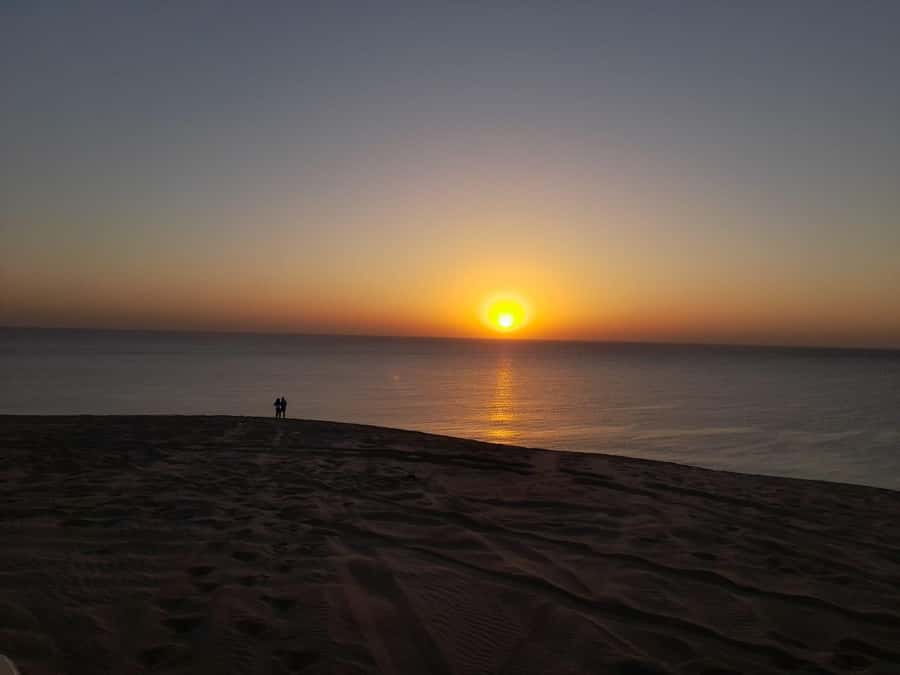 Desert Safari, Quad Bike, Camel Ride, Falcon & Sandboarding - Khor Al Udeid, Qatar’s Inland Sea